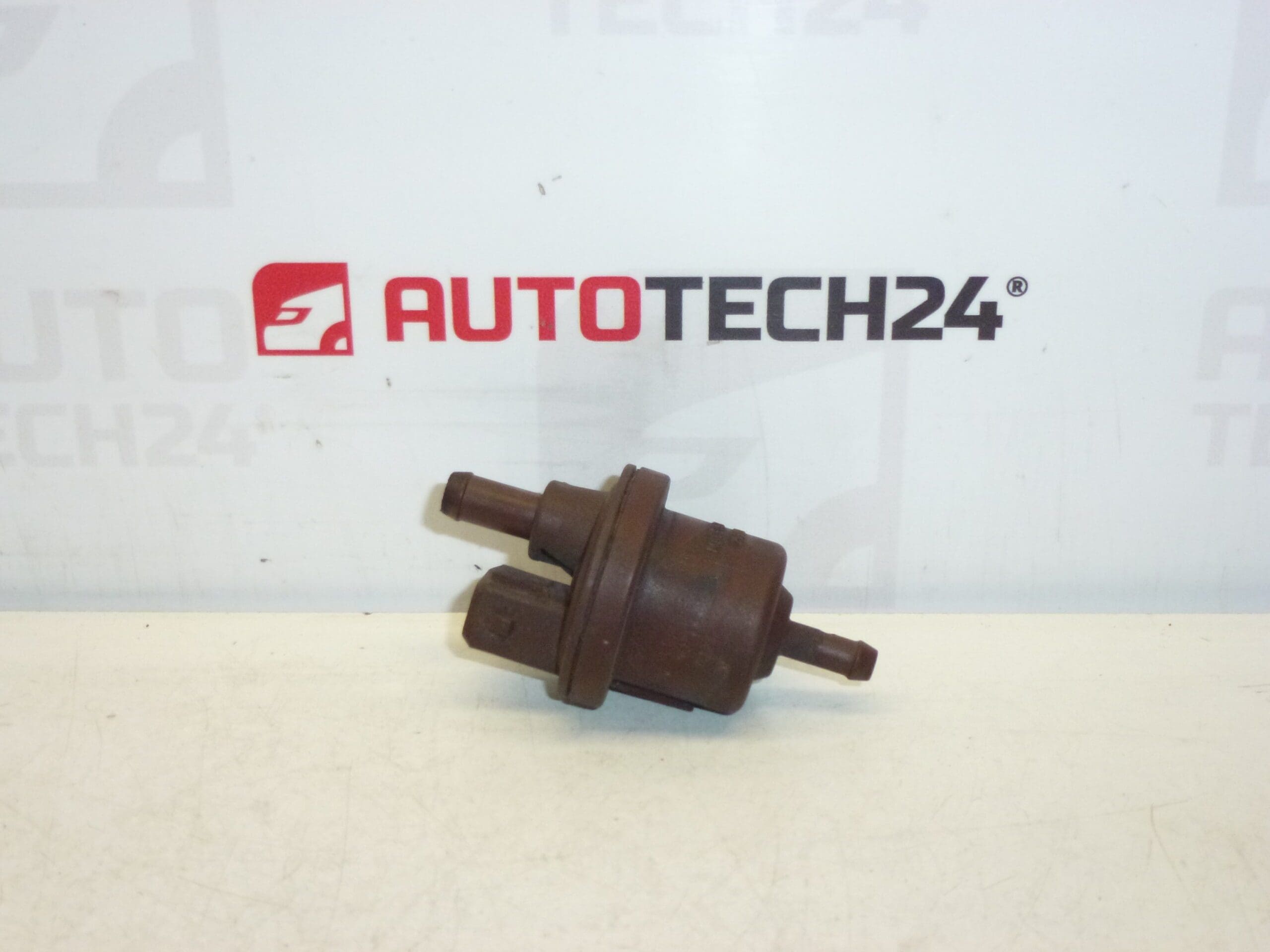 Ventil aktivního uhlí Citroën Peugeot 0280142317