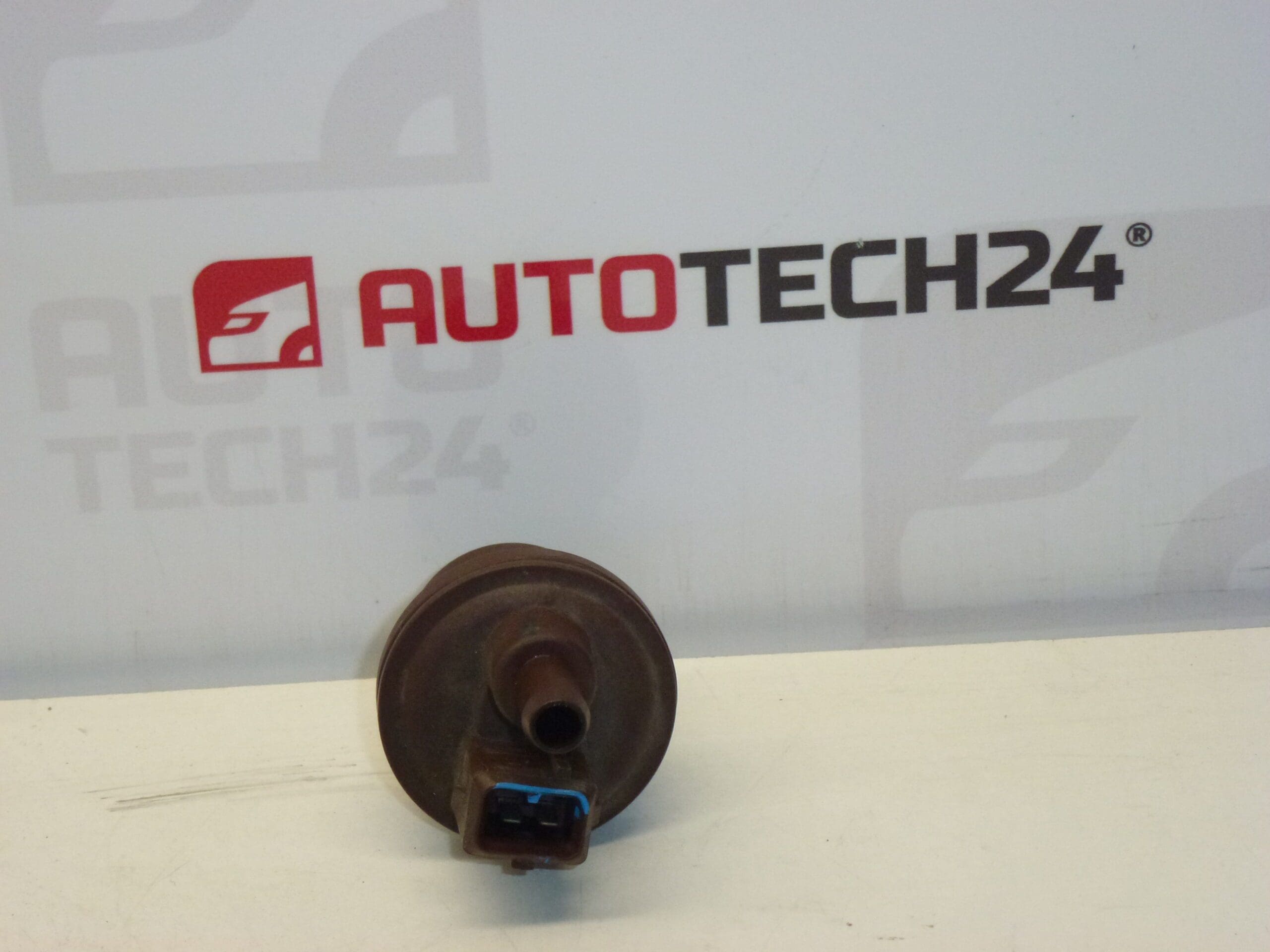 Ventil aktivního uhlí Citroën Peugeot 2580008C 16287G - Obrázek 2