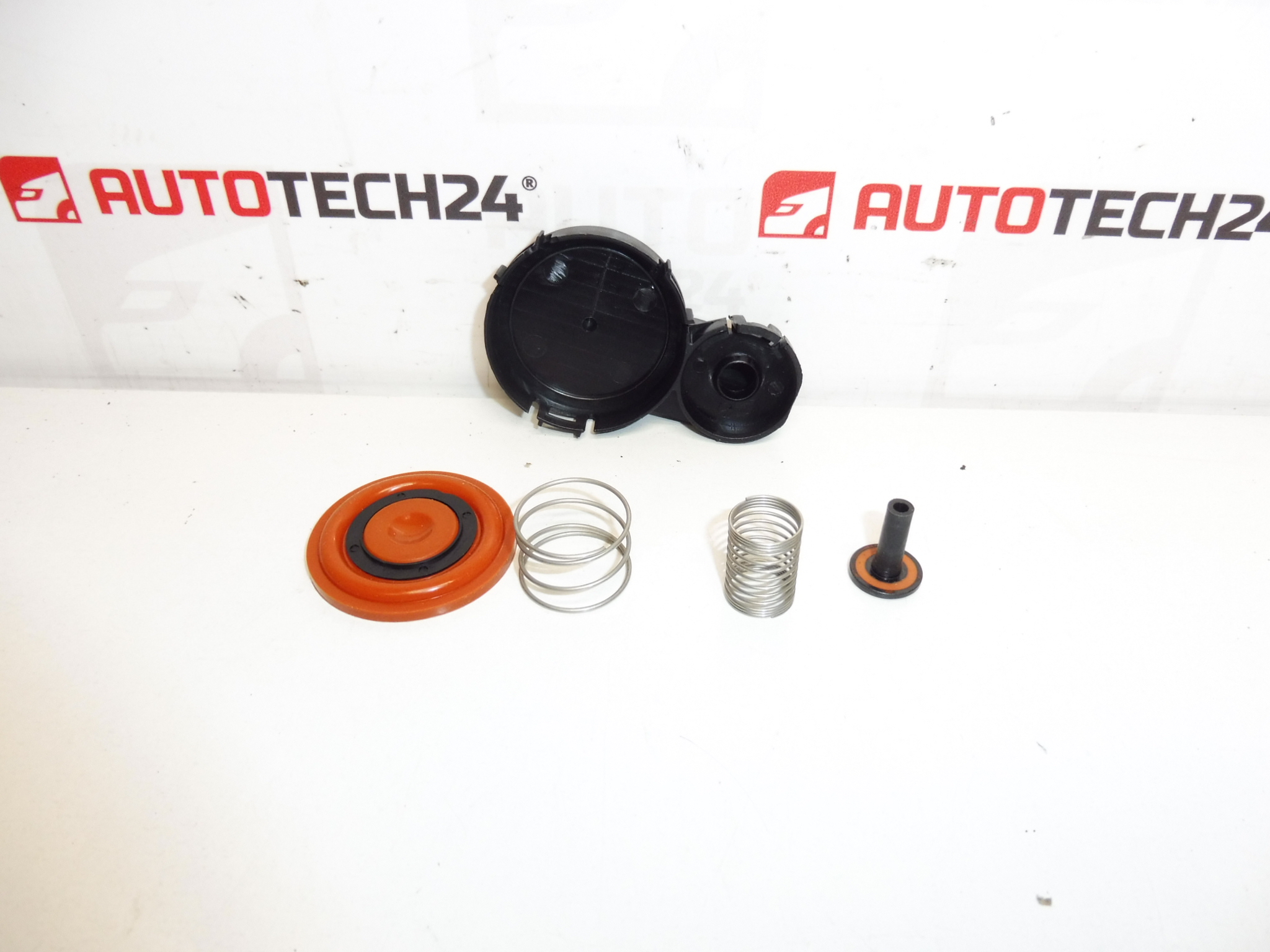 Sada membrány víka ventilů 1.6 HDI 0248S0