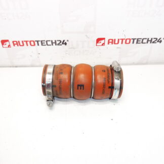 Hadice turba Citroën Peugeot DS 9801280680 0382GV
