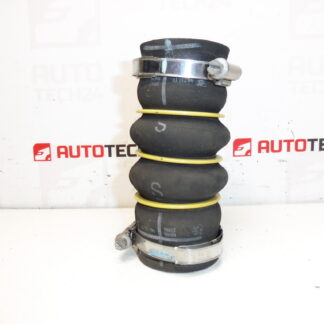 Hadice turba Citroën Peugeot DS 9685319980 9801280680 0382GW